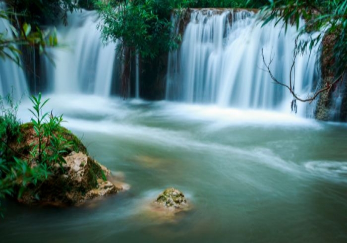 อุทยานราชพฤกษ์-หอคำหลวง