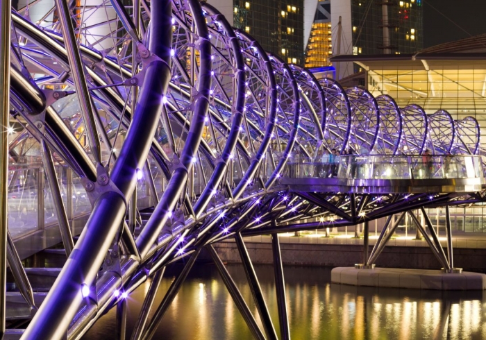 Singapore Flyer