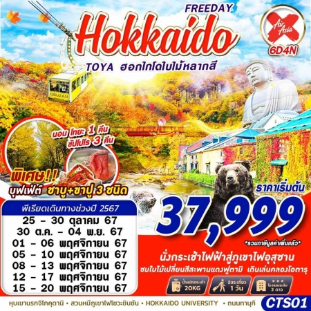 ทัวร์ญี่ปุ่น AJP63-01 DMK HOKKAIDO TOYA ฮอกไกโดใบไม้หลากสี CTS01 (151167)