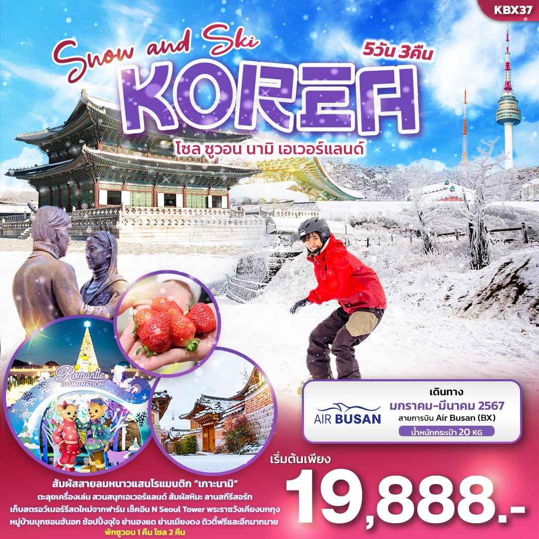 ทัวร์เกาหลี AKR03-01 Snow and Ski KOREA โซล ซูวอน นามิ เอเวอร์แลนด์ (230367)