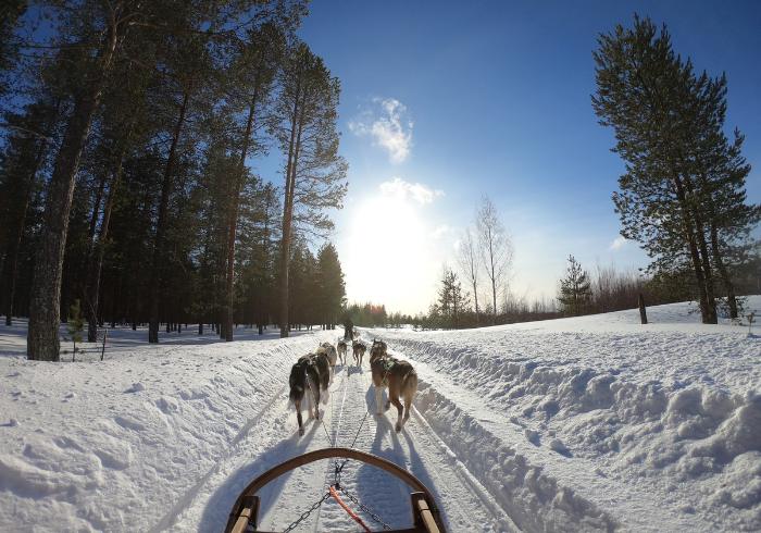 ทัวร์ยุโรป AEU91-06 EXTREME WINTER FINLAND NewYear(261266)