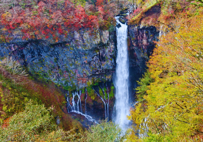 ทัวร์ญี่ปุ่น AJP75-23 SPECIAL TOKYO NIKKO FUKUSHIMA (280766)