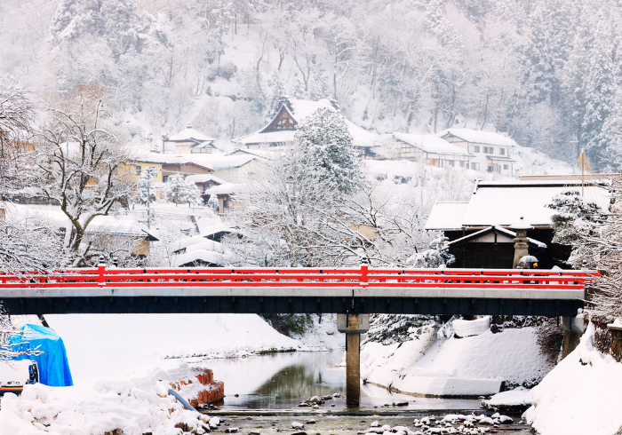 ทัวร์ญี่ปุ่น WINTER SNOW OSAKA TOKYO (210366)