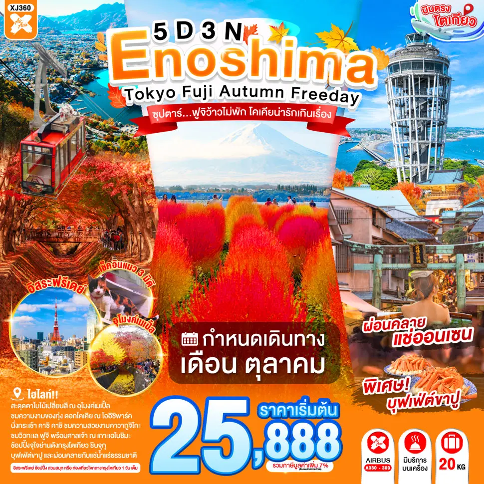 ทัวร์ญี่ปุ่น AJP65-10 ENOSHIMA TOKYO FUJI AUTUMN FREEDAY XJ360 (271069)