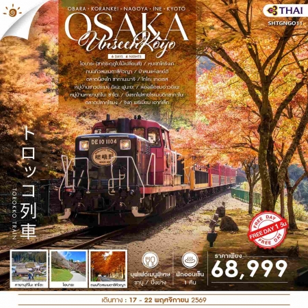 ทัวร์ญี่ปุ่น AJP71-01 UNSEEN KOYO OSAKA FREEDAY (181169)