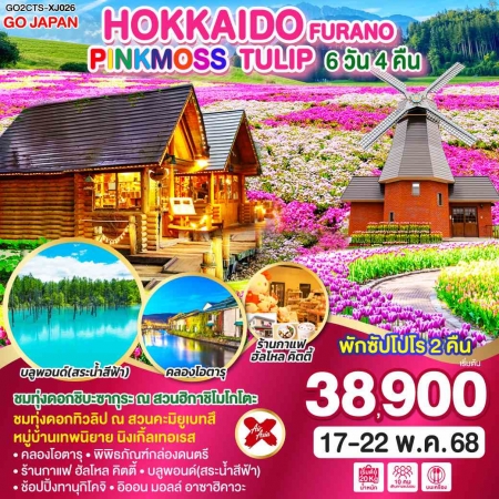 ทัวร์ญี่ปุ่น AJP75-38 HOKKAIDO FURANO PINKMOSS TULIP ฟรีเดย์1วัน CTS-XJ026 (170568)