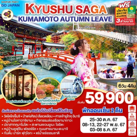 ทัวร์ญี่ปุ่น AJP75-37 KYUSHU SAGA KUMAMOTO AUTUMN LEAVE TG011 (031267)