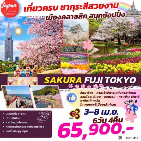 ทัวร์ญี่ปุ่น AJP61-24  SAKURA FUJI TOKYO TOP316 (030468) 