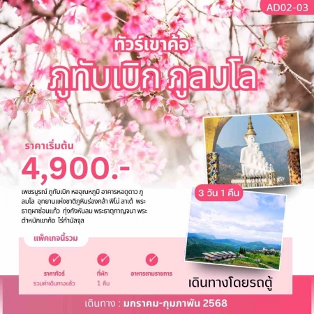 ทัวร์ในประเทศ AD02-03 ทัวร์เขาค้อ ภูทับเบิก ภูลมโล ชมซากุระเมืองไทย (280268)