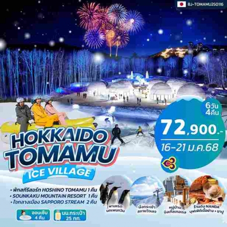 ทัวร์ญี่ปุ่น AJP62-19 HOKKAIDO TOMAMU ICE VILLAGE (160168)  