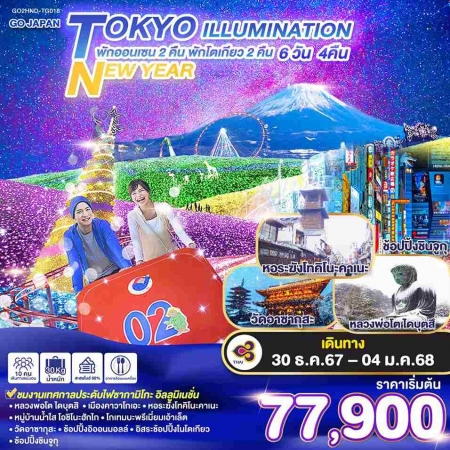 ทัวร์ญี่ปุ่น AJP75-66 TOKYO ILLUMINATION NEW YEAR  TG018 (301267)