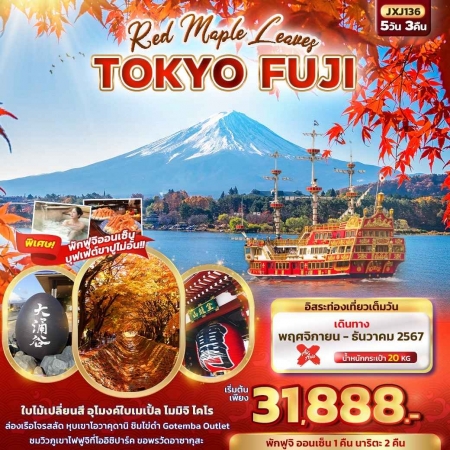 ทัวร์ญี่ปุ่น AJP72-10  Red Maple Leaves TOKYO FUJI ฟรีเดย์ 1วัน XJ136 (051267)