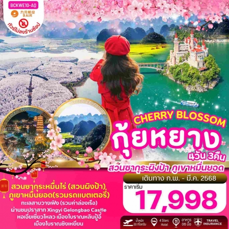 ทัวร์จีน ACH56-02 Cheery Blossum กุ้ยหยาง สวนซากุระผิงป้า ซากุระหมื่นต้น (230368)