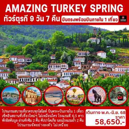 ทัวร์ตุรกี ATK280-04 AMAZING TURKEY SPRING  บินภายใน 1 เที่ยว(210668) 