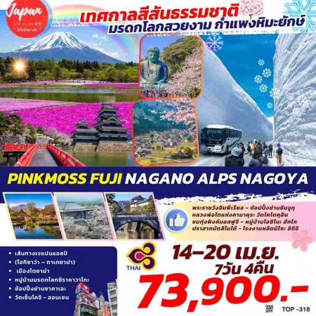 ทัวร์ญี่ปุ่น AJP61-30 PINKMOSS FUJI NAGANO ALPS NAGOYA TOP318(140468)   