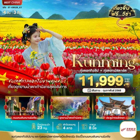 ทัวร์จีน ACH44-46 มหัศจรรย์ คุนหมิง ทุ่งดอกทิวลิป ทุ่งดอกมัสตาร์ด KMG36 (240268)