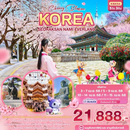 ทัวร์เกาหลี AKR03-01 Cherry Blossom KOREA SEORAKSAN NAMI EVERLAND KBX54 (110468) 