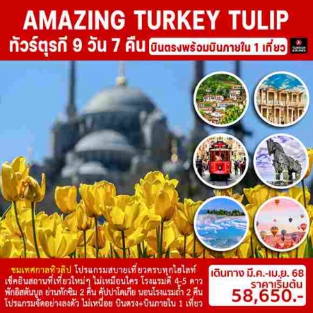 ทัวร์ตุรกี ATK280-03 AMAZING TURKEY TULIP บินภายใน 1 ขา(260468) 