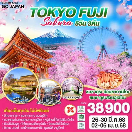 ทัวร์ญี่ปุ่น AJP75-42 TOKYO FUJI SAKURA NRT-XJ033 (020468)