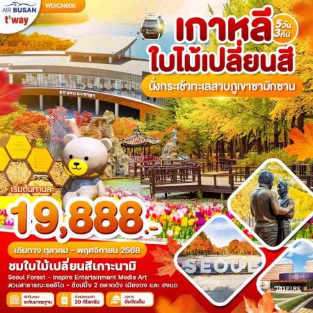ทัวร์เกาหลี AKR09-06 เกาหลี ใบไม้เปลี่ยนสี ภูเขาซามักซาน (261168)
