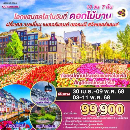 ทัวร์ยุโรป AEU83-50 โลกแสนสดใส ฝรั่งเศส เบลเยี่ยม เนเธอร์แลนด์ เยอรมนี สวิส  CDG-TG040 (030568) 