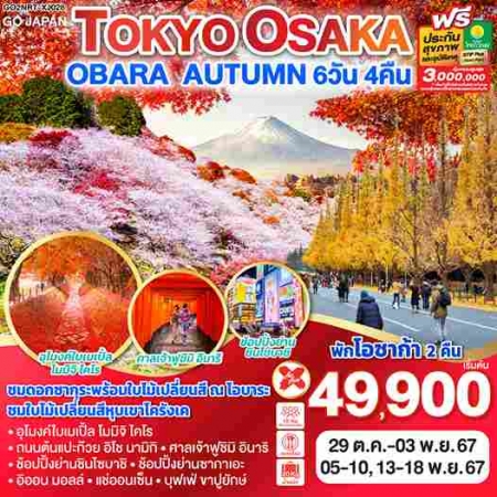 ทัวร์ญี่ปุ่น AJP75-46 TOKYO OSAKA OBARA AUTUMN NRT-XJ028 (131167)