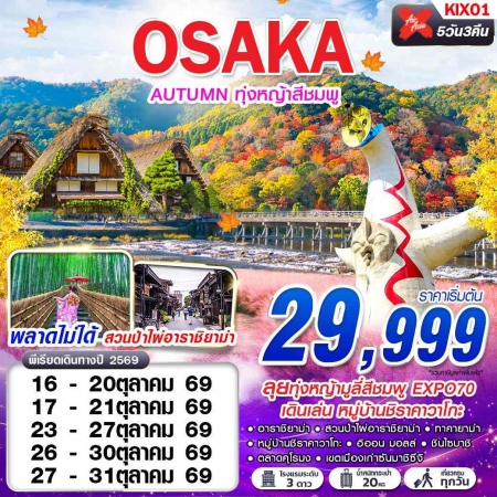 ทัวร์ญี่ปุ่น AJP63-45 XJ DMK OSAKA AUTUMN ทุ่งหญ้าสีชมพู XJ612-613 OCT KIX01 (301069)