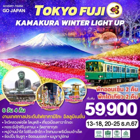 ทัวร์ญี่ปุ่น AJP75-03 TOKYO FUJI KAMAKURA WINTER LIGHT UP NRT-TG058 (201267)