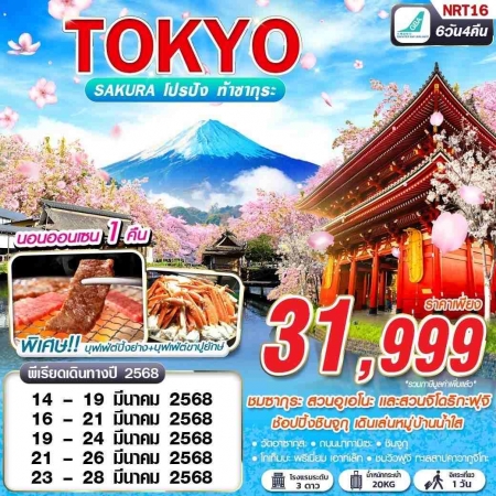 ทัวร์ญี่ปุ่น AJP63-13 NRT16 HB BKK TOKYO SAKURA โปรปัง ท้าซากุระ FREEDAY (230368)