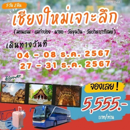 ทัวร์ในประเทศ AD05-02 เชียงใหม่เจาะลึก(271267)  