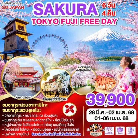 ทัวร์ญี่ปุ่น AJP75-43 TOKYO FUJI SAKURA FREE DAY NRT-XJ034 (010468)