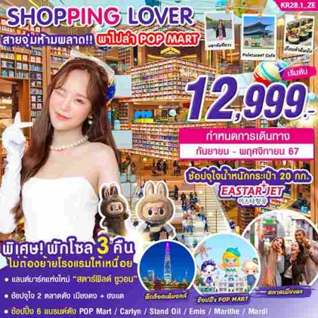 ทัวร์เกาหลี AKR04-01 เกาหลี SHOPPING LOVER  (301167)