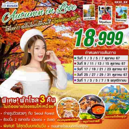 ทัวร์เกาหลี AKR04-03 เกาหลี AUTUMN IN LOVE (091167)  