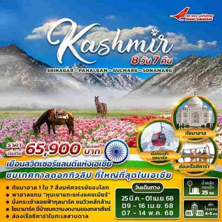 ทัวร์อินเดีย AIN190-01 INDIA  KASHMIR (070568) 