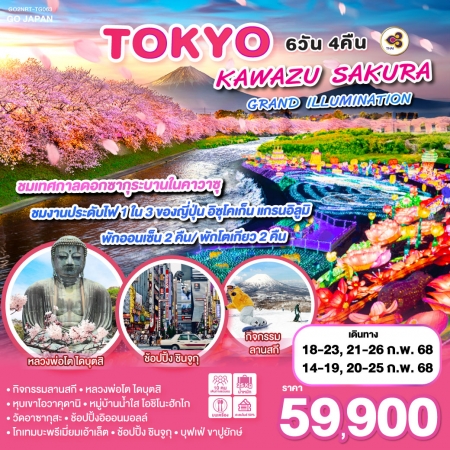 ทัวร์ญี่ปุ่น AJP75-59 TOKYO KAWAZU SAKURA GRANDILLUMINATION NRT-TG063 (200268)