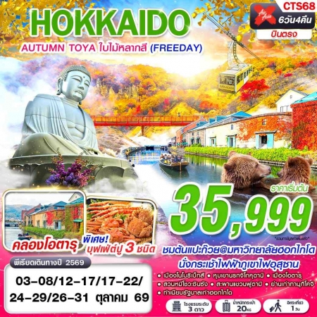 ทัวร์ญี่ปุ่น AJP63-50 XJ DMK HOKKAIDO AUTUMN TOYA ใบไม้หลากสี ฟรีเดย์ OCT CTS68 (261069)