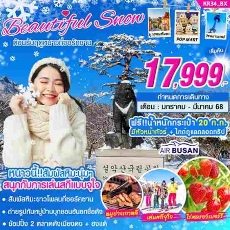 ทัวร์เกาหลี AKR04-08 เกาหลี BEAUTIFUL SNOW(040368)    