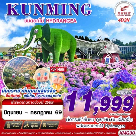 ทัวร์จีน ACH58-29 BKK KUNMING ภูเขาหิมะเจี้ยวจื่อ ดอกไม้ Hydrangea KMG30 (300769)