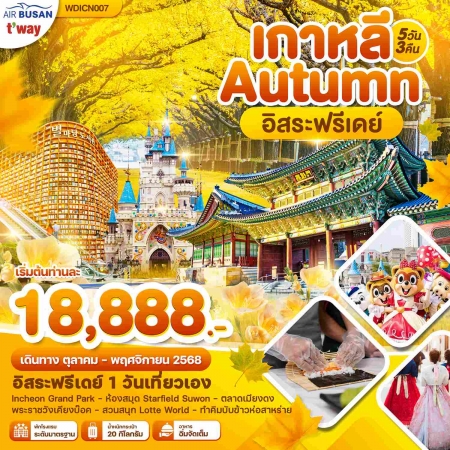 ทัวร์เกาหลี AKR09-08 Wonder Korea Autumn  เกาหลี ใบไม้เปลี่ยนสี ฟรีเดย์ 1วัน (281168)