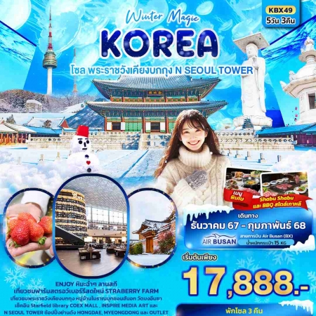 ทัวร์เกาหลี AKR03-04 Winter Magic Korea Seoul KBX49 (250268)