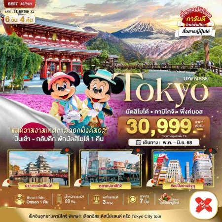 ทัวร์ญี่ปุ่น AJP67-21มหัศจรรย์ TOKYO มัตสึโมโต้ คามิโคจิ พิ้งค์มอส NRT09_XJ (260668)