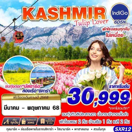 ทัวร์แคชเมียร์ AIN185-01 KASHMIR TULIP LOVER SXR12 (090668)