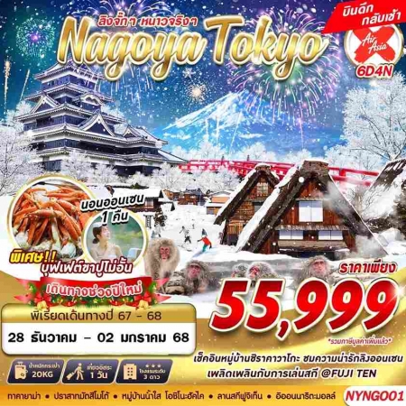 ทัวร์ญี่ปุ่น AJP63-21 NGOYA TOKYO WINTER ลิงจั๊กๆ เที่ยวเต็ม ไม่ย้อนทาง ปีใหม่(281267)   