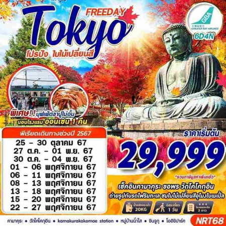 ทัวร์ญี่ปุ่น AJP63-17 TOKYO AUTUMN โปรปัง ใบไม้เปลี่ยนสี FREEDAY NRT68(221167)    