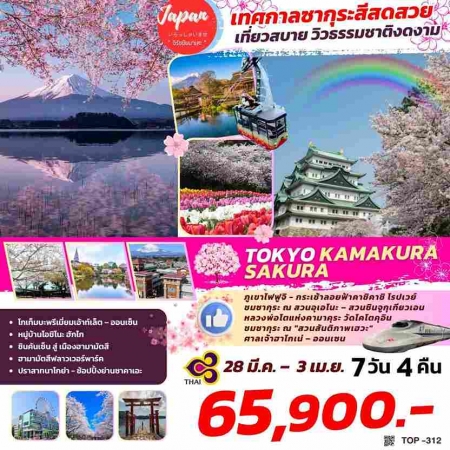 ทัวร์ญี่ปุ่น AJP61-23  TOKYO KAMAKURA SAKURA TOP312 (280368) 