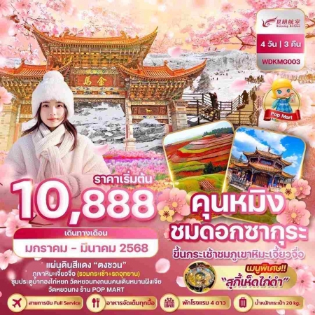 ทัวร์จีน ACH51-02 คุนหมิง ภูเขาหิมะเจี้ยวจื่อ แผ่นดินสีแดง ชมซากุระ (250368)