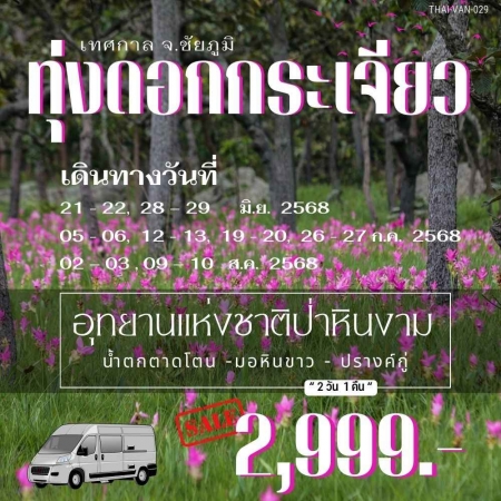 ทัวร์ไทย AD05-08 เทศกาลทุ่งดอกกระเจียว-ชัยภูมิ VAN-029 (090768)