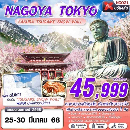 ทัวร์ญี่ปุ่น AJP63-20 XJ DMK NAGOYA TOKYO SAKURA SNOW WALL บินดึก เที่ยวเต็ม NGO21 (250368)