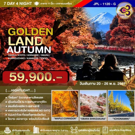 ทัวร์ญี่ปุ่น AJP73-03 GOLDENLAND AUTUMN ซากุระใบไม้เปลี่ยนสี (201167)