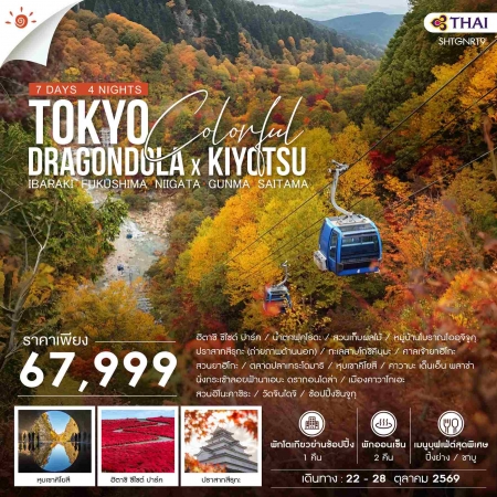 ทัวร์ญี่ปุ่น AJP71-04 TOKYO COLORFUL DRAGONDOLA x KIYOTSU (221069)